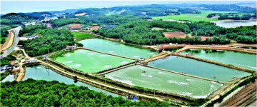 [돈되는 분양] 삼강, 안전성인정받은 `내수면양식장`