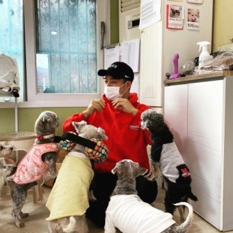 `이혜성`전현무, 유기견 보호소 봉사 