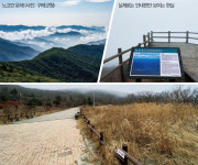 남쪽 산은 따뜻할까? 지리산 노고단 사계
