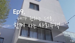 내가원하는대로, 함께주택…고양이와 행복을 나누는 공간이죠