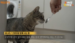 내가원하는대로, 함께주택…고양이와 행복을 나누는 공간이죠