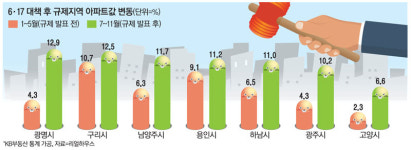 `규제 셀수록 집값 올랐다` 삼성동 아이파크 50억!
