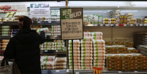 [포토] 계란값 확 뛰자…신선란 관세 면제