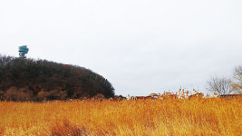 나를 위로해주는 자연의 선물-겨울 한낮 화성(華城) 산책