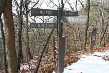 [Dear My Walking] 야트막한 정상에 펼쳐진 너른 겨울 한강 경기도 파주 심학산