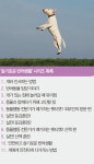 슬기로운 반려생활-행복한 공존을 위한 꿀팁 대방출