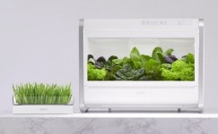 대파 한단 7000원 파테크 뜨는데…이참에 직접 키워? 시티파머 시대