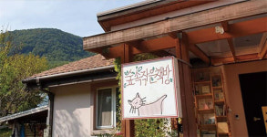 봄 기운 완연한 여행-그래, 봄이면 숲속 책방으로 가자