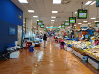 국산 쓰면 불법인데…후쿠시마 오염수 방출에 생태탕집 날벼락 [르포]