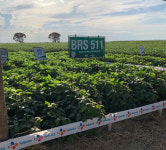 CJ제일제당, 아마존産 대두 구매 않겠다