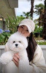송혜교, 반려견에 뽀뽀♥…즐거운 한 때