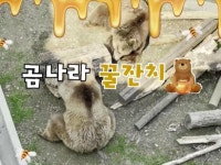 곰나라 꿀잔치, 옥돔 먹는 수달…서울대공원 순간포착 영상보니 [영상]
