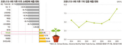반려식물 호텔 들어보셨나요? 코로나19 이후 더욱 주목받는 홈가드닝