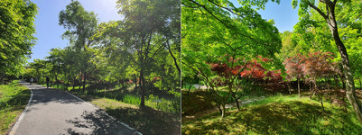 코로나 답답함 날린다...도심 인근 숲길 물향기수목원