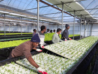 [대학 혁신] 경북대, 코이카 석사과정 운영…개도국 농업정책·기술혁신 교육