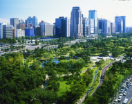 [생명과 과학] 숲은 대기오염 해결사…미세먼지 확 줄여주죠
