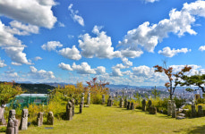 뭘 좋아할지 몰라 다 준비해봤어~ 代가 즐겁네, 대만족 여행지 [Travel & Leisure]