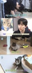 나 혼자 산다 이준호, 네 마리 고양이와 함께하는 냥집사 모습 공개
