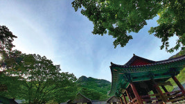 [Dear My Walking] 산길과 바닷길, 어느 것 하나 빠지지 않는 명소 변산에 반하다… 전북 부안 변산반도국립공원