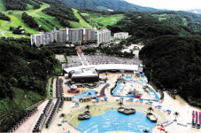 [돈되는 분양] 웰리힐리 리조트, 가입땐 워터파크·리프트 무료