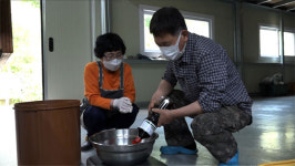 [오늘의 MBN] 귀농 10년 차 홍천 산나물 부부