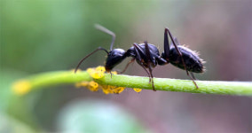 [포토에세이] 아름다운 공생
