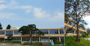 대체 어떤 학교길래...이병철·구인회·조홍제가 졸업한 진주 OO초등학교 [인사이드 아웃]