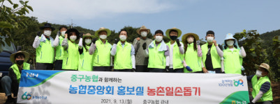 농협중앙회 홍보실-인천 중구농협, 수확기 일손돕기 앞장