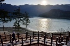 억새가 유혹하는 비대면 가을 여행지 25선