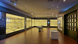 서울에 약재시장이 있다고?…동대문구 서울약령시 가보니 [르포]