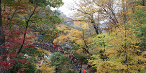 [Dear My Walking] 산책하듯 즐기는 설악의 색다른 코스 오색 주전골 자연관찰로