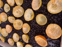 [생생유통] 커피의 미래를 묻거든 발효커피를 보게 하라