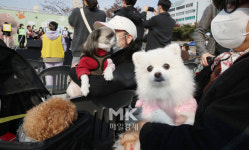 [포토] 노원구 반려동물 문화축제