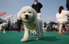 [포토] 노원구 반려동물 문화축제