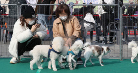 [포토] 노원구 반려동물 문화축제