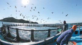 주문 하자마자 바로 잡아드립니다…참치회, 바로 이맛이야