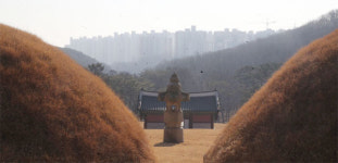 아파트 청약때 릉자 피해야하나…서오릉 태릉서도 문화재·아파트 건립 충돌