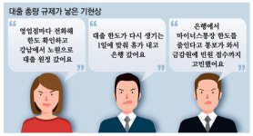 강남서 노원으로 대출 원정…은행 앞 긴 줄 이유 있었네