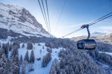 코시국에 개통했는데... 年200만이 탄 알프스 초고속 곤돌라 아이거 익스프레스