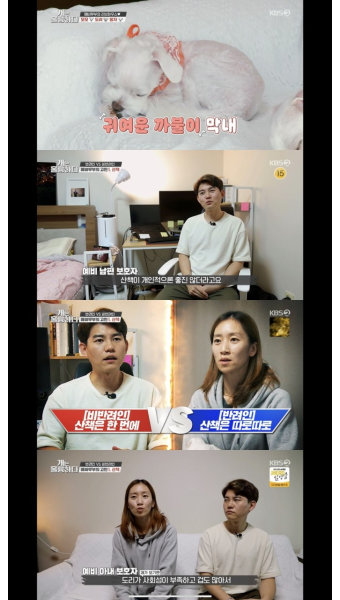 '개훌륭' 충남 홍성 예비부부, 반려견 3마리 동시 산책에 진땀