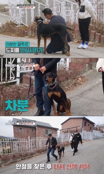 '개훌륭' 강형욱, 반려견 짖음 소음에 