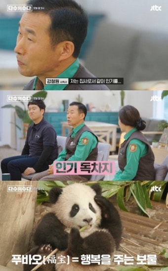 '다수의 수다' 아기 판다 푸바오 강철원 사육사 