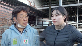 [오늘의 MBN] 의령 목장 부녀는 오늘도 티격태격
