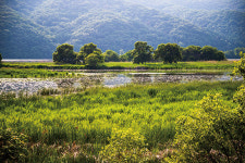 코로나19 장기화에 다시 관심 받는 비대면 여행지… 감추사, 장사도해상공원, 수안보 족욕길, 황간역, 박수기정…