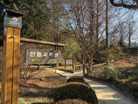 지금도 초록, 겨울 홍릉숲