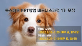 매경 PET 창업 비즈니스 소수정예과정 4월 개강