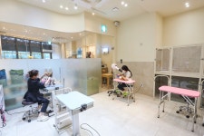 반려묘 전문가 “펫 창업, 양육 까다로운 고양이 특성 이해가 중요”