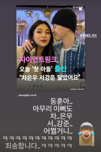 자이언트핑크한동훈 