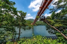 벚꽃 감상에 호캉스 곁들인 여행지 4곳