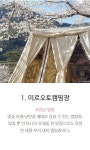 설레는 봄이 왔어요~ 벚꽃 만개한 캠핑장 5선
